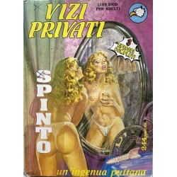 VIZI PRIVATI SPINTO N.11 1992