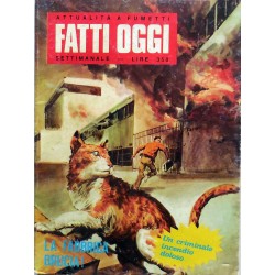 FATTI OGGI N.19 1979