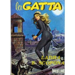 LA GATTA N.1 1976