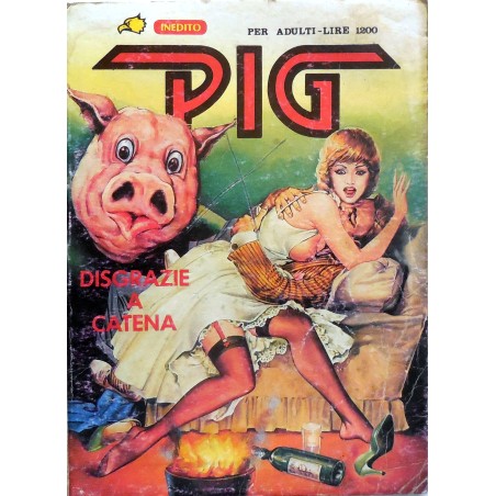 PIG N.33 1986