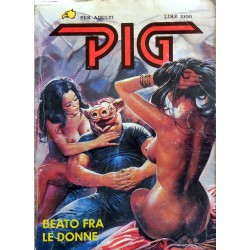 PIG N.11 1984