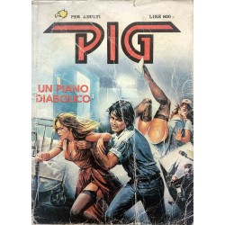 PIG N.6 1984